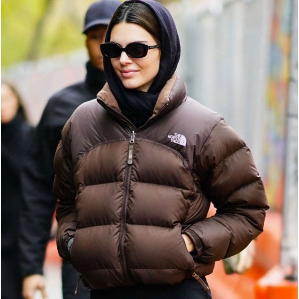 Brown 550 north face jacket